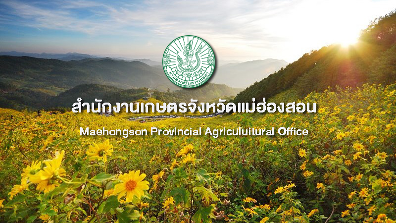 สำนักงานเกษตรจังหวัดแม่ฮ่องสอน
